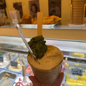 로젤라또 사진