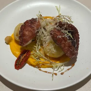 파브란트 사진