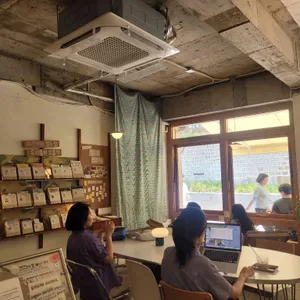 파이키 리뷰 사진
