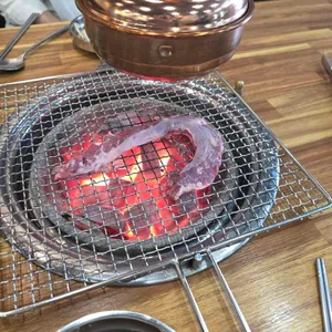 거기갈매기 사진