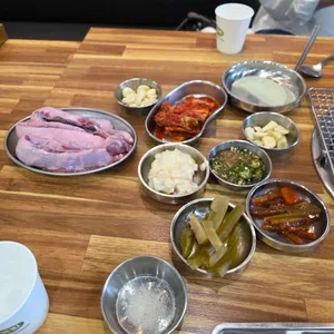 거기갈매기 사진