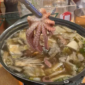 오징어청춘 사진