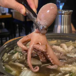 오징어청춘 사진