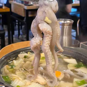 오징어청춘 사진