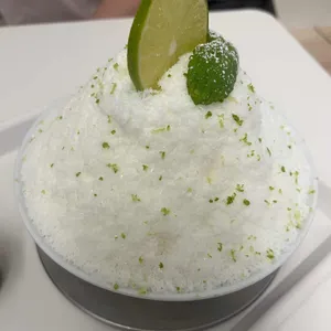 콘드 사진
