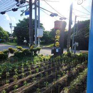 손맛촌 리뷰 사진
