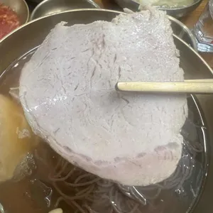 설눈 사진