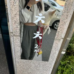 차차찻 리뷰 사진