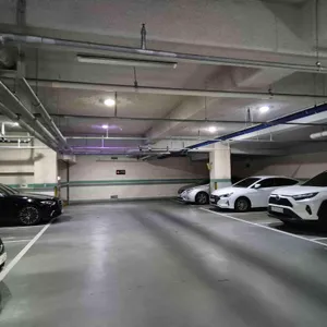 딤타오 리뷰 사진