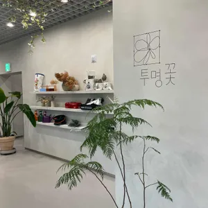 투명꽃 리뷰 사진