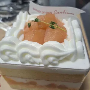카엘리움 사진