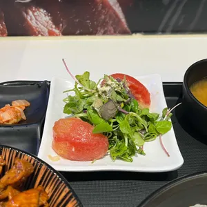 홍대개미 사진