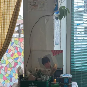 애시당초 리뷰 사진