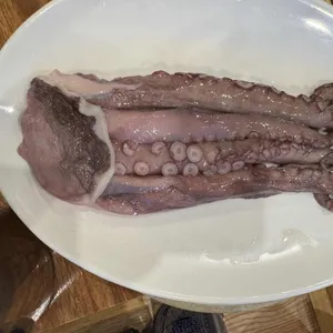 문어로 사진