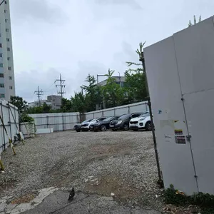 사모님짬뽕 리뷰 사진