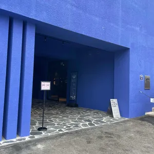 내리수 리뷰 사진