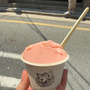 받터 사진