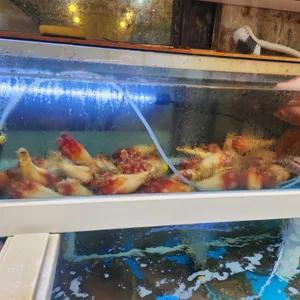 회를품은달 사진