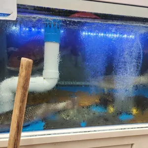 회를품은달 리뷰 사진