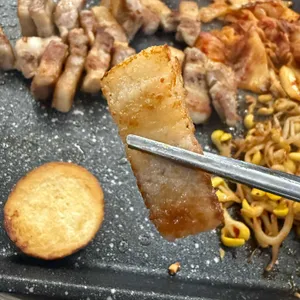 돼지꿈 사진