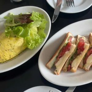 햇 사진