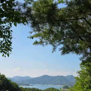 게으른악어 리뷰 사진