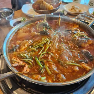 얼큰참메기 사진