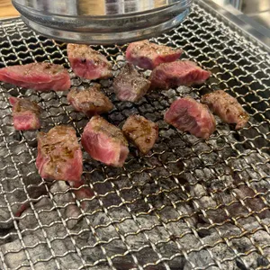 청림장어 사진