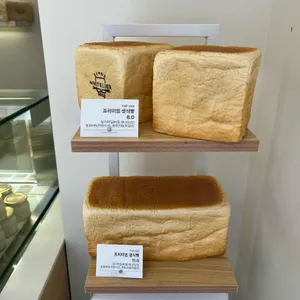 화이트리에 사진