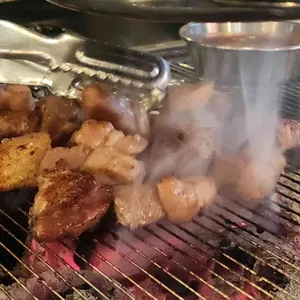 식껍 사진