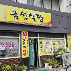 금성식당 리뷰 사진