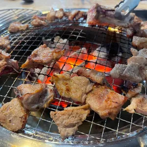 도도한돼지 사진