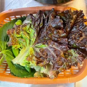바다생협 대광어 사진