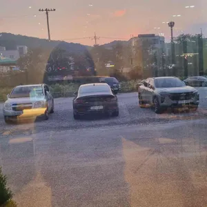 곤드레예찬 리뷰 사진
