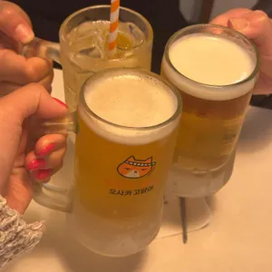 오사카고양이 사진