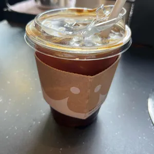 폴 바셋 사진 2