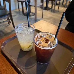 오아시스 사진