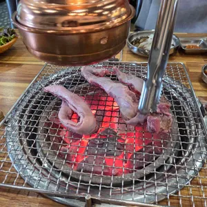 거기갈매기 사진