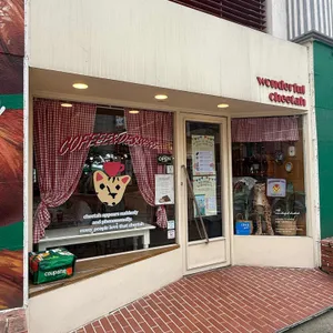 원더풀치타 리뷰 사진
