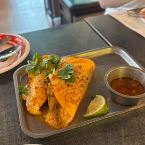 더타코부스 사진