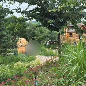 감자밭 리뷰 사진