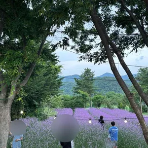 감자밭 리뷰 사진