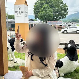 플러스마이너스 밀크티 리뷰 사진