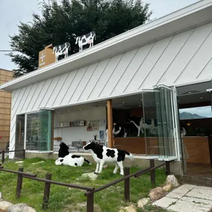 플러스마이너스 밀크티 리뷰 사진