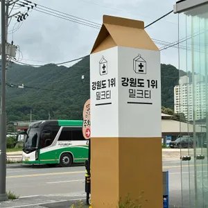 플러스마이너스 밀크티 리뷰 사진