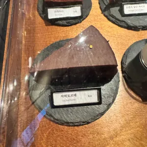 앤트러사이트 리뷰 사진
