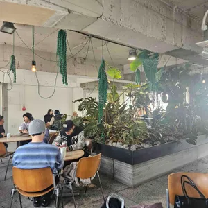 앤트러사이트 리뷰 사진