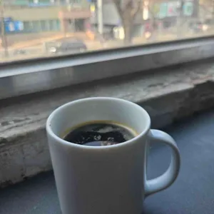 앤트러사이트 사진