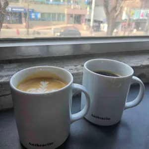 앤트러사이트 사진