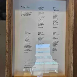앤트러사이트 리뷰 사진